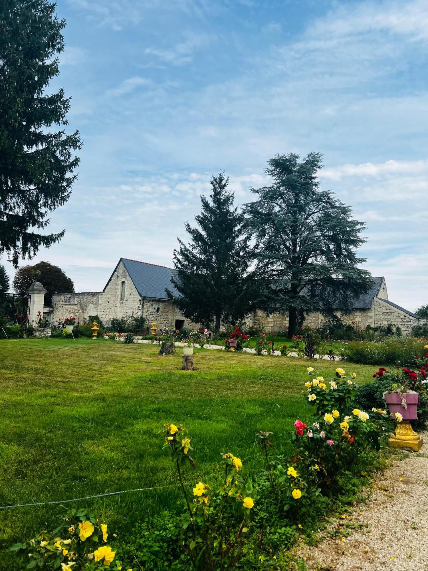 Chateau De La Thibaudiere - Chambre Du Tonneau Allonnes  ภายนอก รูปภาพ